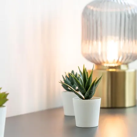 Modern Retreat 1 In By Lovelystay 法鲁区